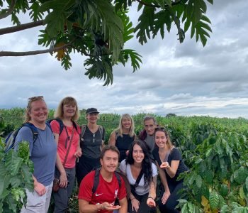 A5A92129-F071-4C8C-85F5-56A1569A5E7B